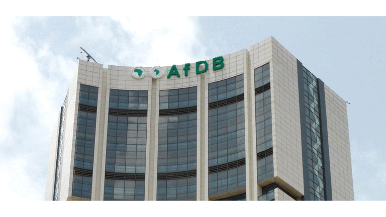 African Development Bank and development finance institutions partner to close financing gap