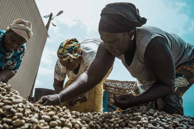 African Development Bank approves $310 million financing package for South African MSMEs, women entrepreneurs and agribusinesses