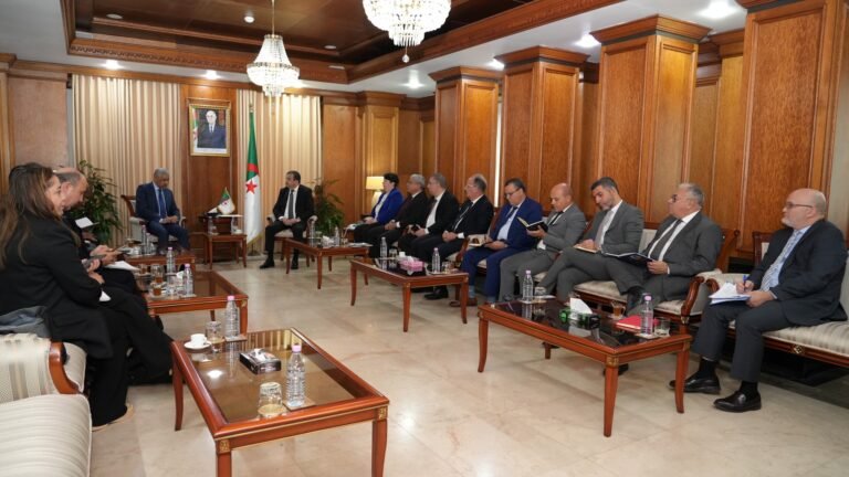African Development Bank confirms readiness to help finance strategic projects in Algeria