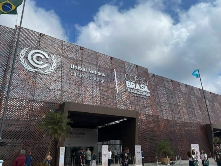 COP30 highlights importance of energy investment in Africa ahead of IAE Forum in Paris