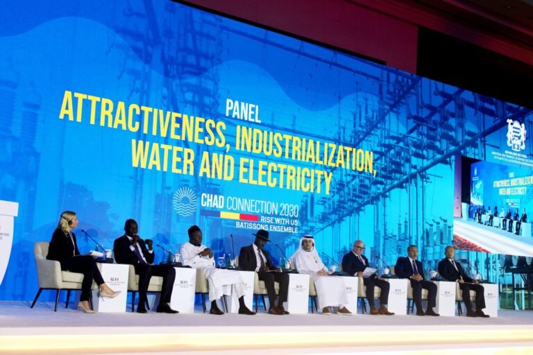 Chad moves forward with US$30 billion development plan