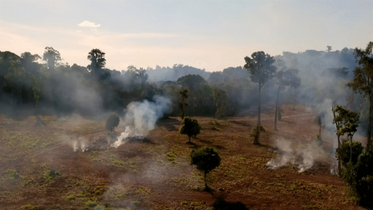 FG supports African-led sustainable climate and infrastructure development