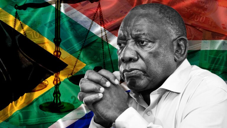 South African companies doing government work – Daily Investor