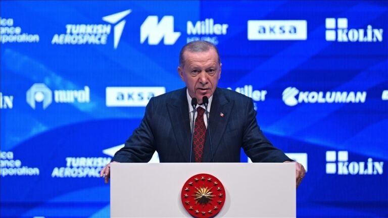 Turkish companies embark on critical infrastructure projects in Africa: President Erdoğan