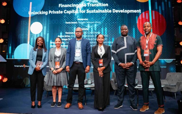 Funding the energy transition at IAE 2025