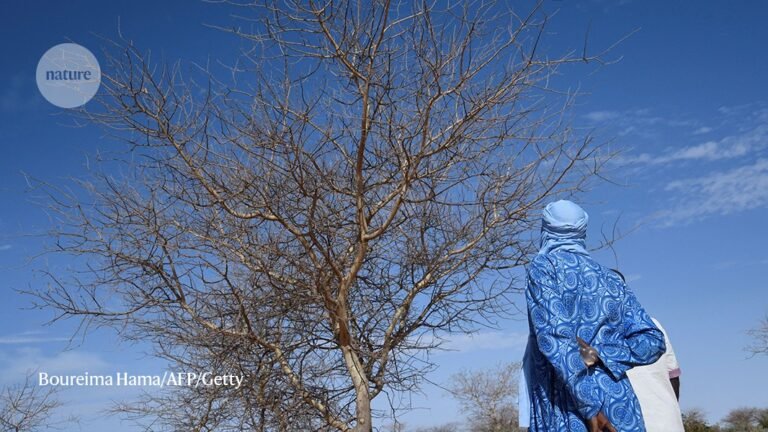 How to make Africa’s Great Wall of China a success