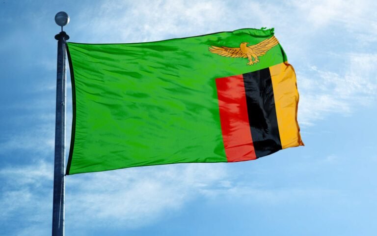 Zambia rewires power system to support Southern Africa’s energy trade