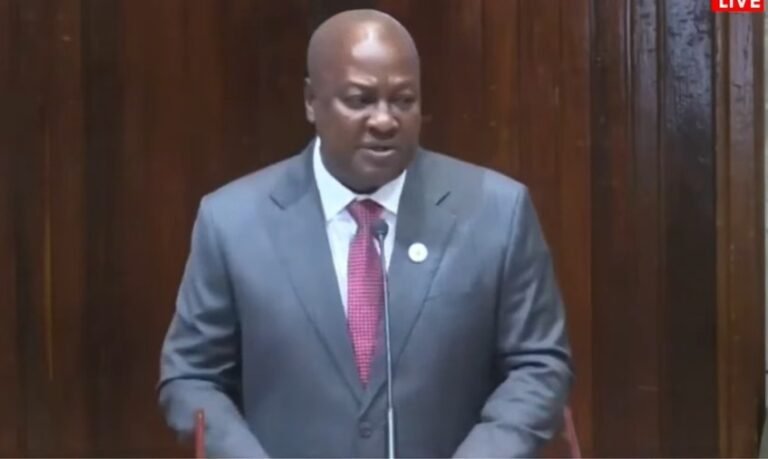 Indigenous businesses must lead and drive change in Africa’s mining sector — Mahama