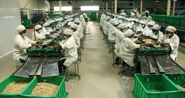 UK, Canada, etc. Back Construction of new cashew nut processing factory
